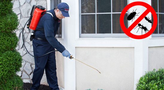 Kaynaklar Gümüşkurt İlaçlama böcek ilaçlama ve haşere kontrolü — ilaclama-tr.com